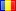ro-icon